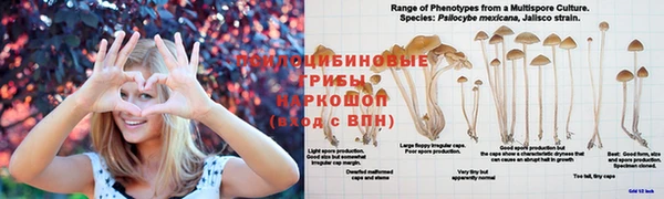 2c-b Алзамай